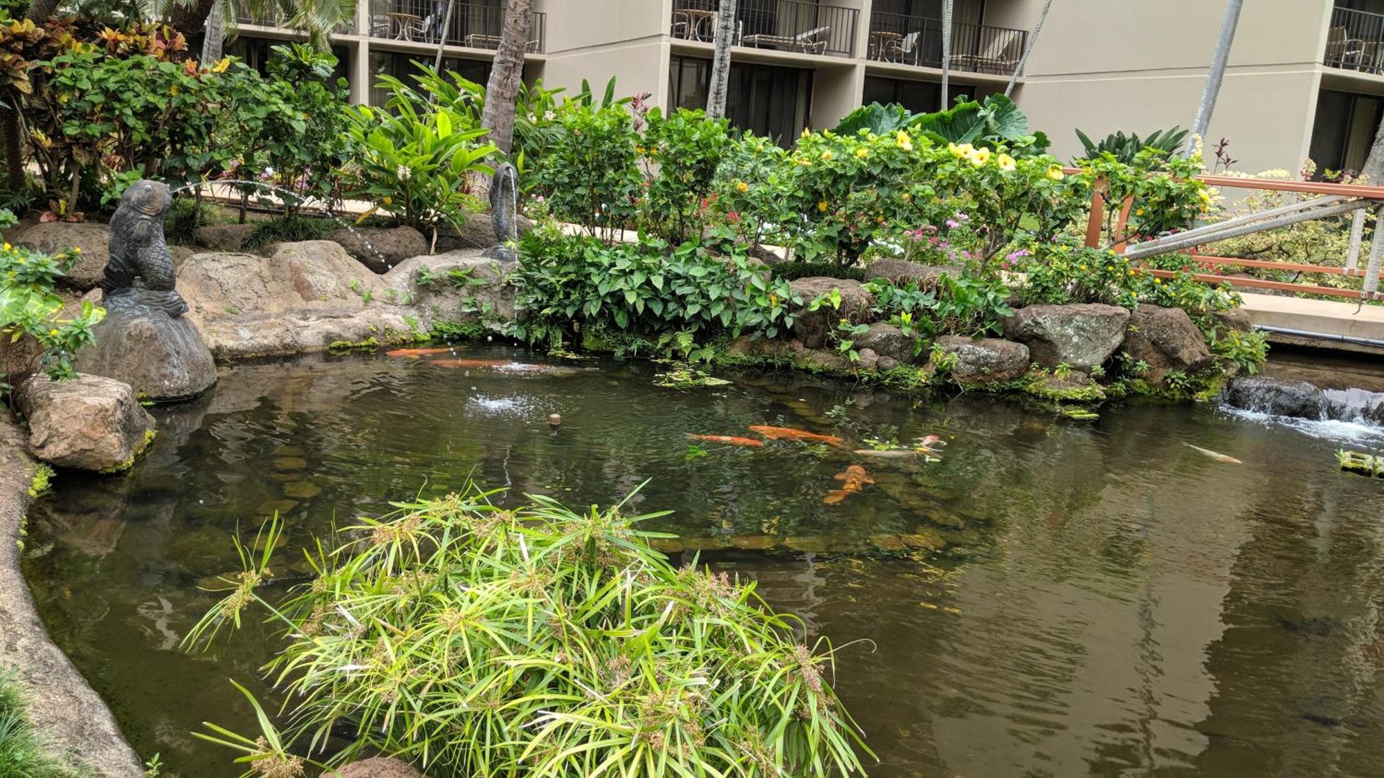 Maui Westside Presents: Kaanapali Shores 733 Stunning Ocean Views New Listing لاهينا المظهر الخارجي الصورة